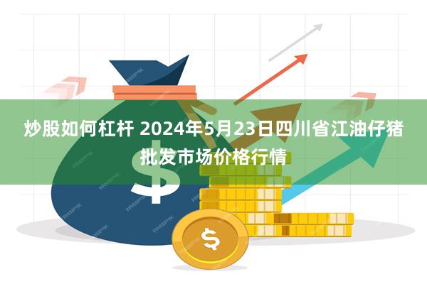 炒股如何杠杆 2024年5月23日四川省江油仔猪批发市场价格行情