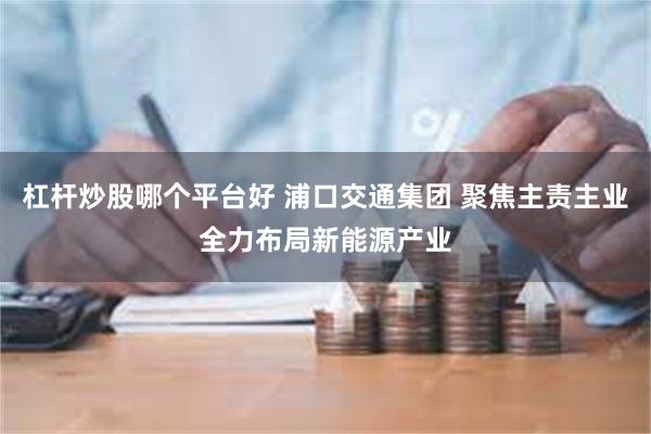 杠杆炒股哪个平台好 浦口交通集团 聚焦主责主业全力布局新能源产业