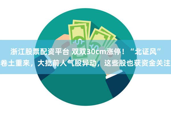 浙江股票配资平台 双双30cm涨停！“北证风”卷土重来，大批前人气股异动，这些股也获资金关注