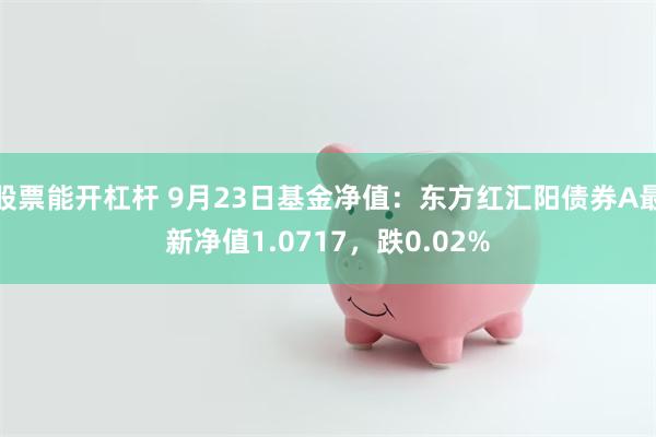 股票能开杠杆 9月23日基金净值：东方红汇阳债券A最新净值1.0717，跌0.02%