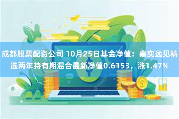 成都股票配资公司 10月25日基金净值：嘉实远见精选两年持有期混合最新净值0.6153，涨1.47%