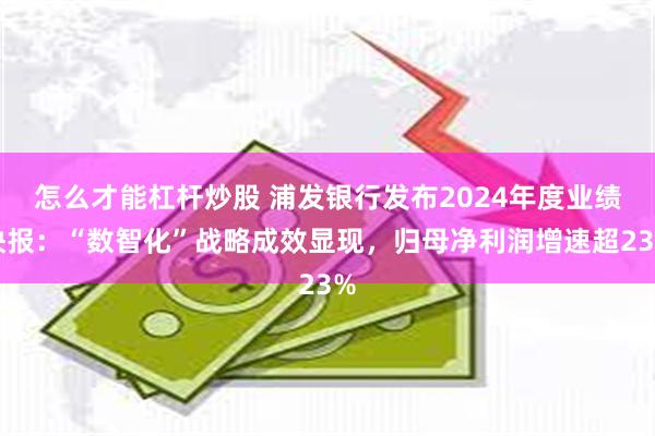 怎么才能杠杆炒股 浦发银行发布2024年度业绩快报：“数智化”战略成效显现，归母净利润增速超23%